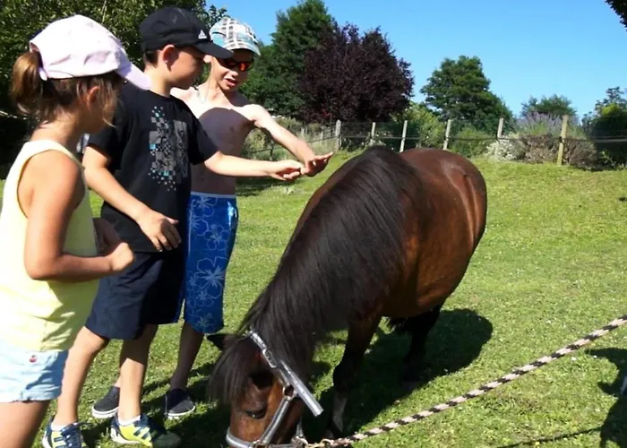 Кемпинг Confort Pour 5 Pers Avec Terrasse - Api-1-52-1941