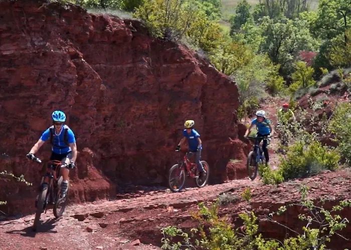 Confort Pour 5 Pers Avec Terrasse - Api-1-52-1941 *